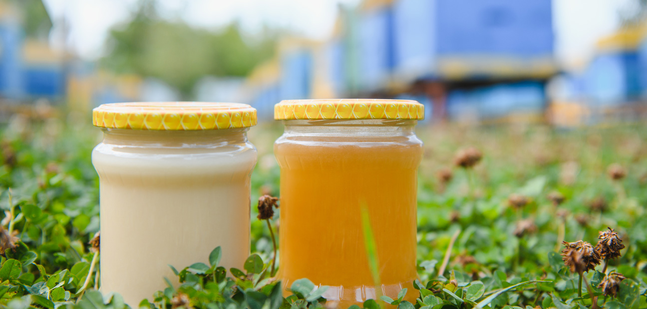 honey1 honey1