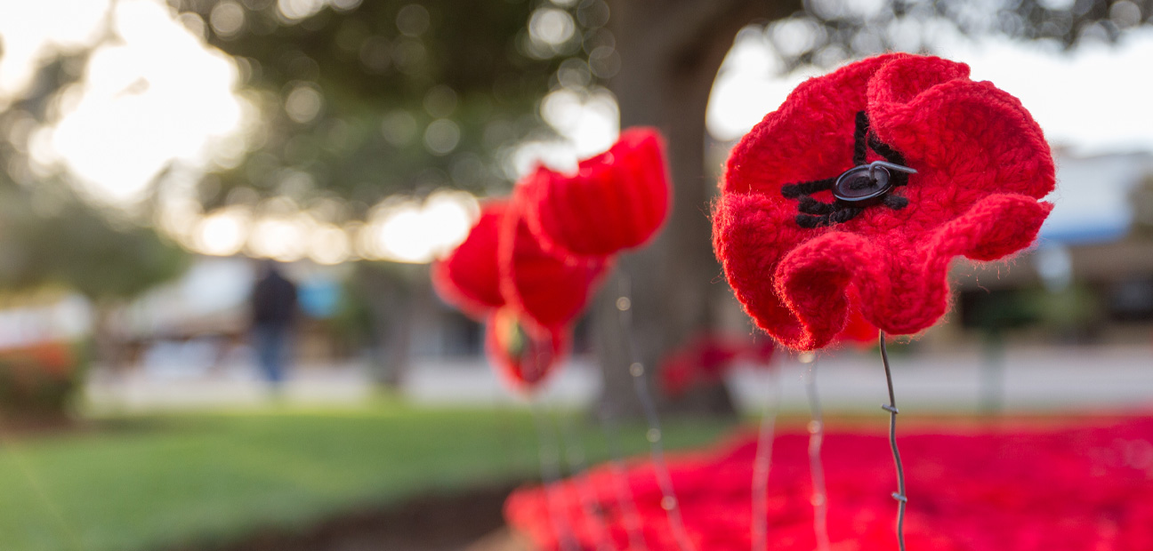 Getting Culture Right: The Remembrance Day Lesson for Global Brands
