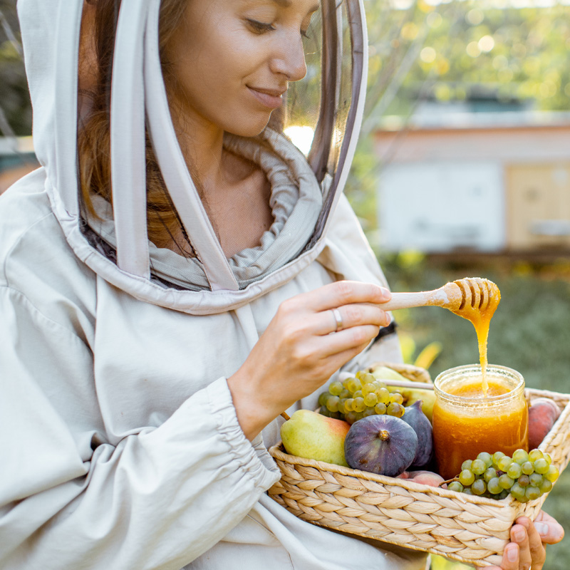 Portfolio Image